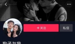 狗子今日爆料视频下载